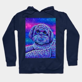 Starry Schnoodle Dog Hoodie